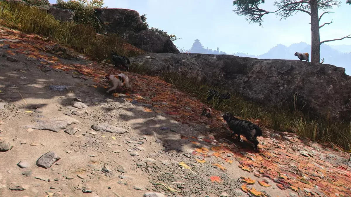 猫岛刺客的信条阴影