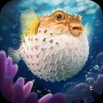 Top Fish: Ocean Game