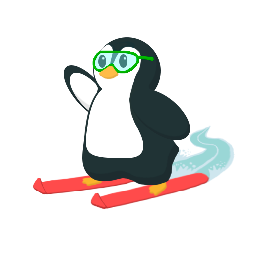 Ski Penguin