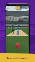 Run Out Champ: Hit Wicket Game Screenshot 2