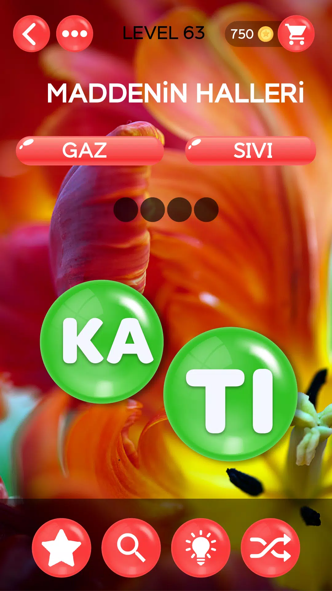 Kelime Şöleni スクリーンショット 4