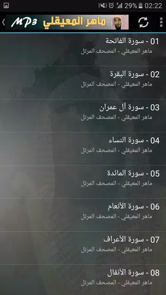 ماهر المعيقلي القران الكريم Captura de tela 3