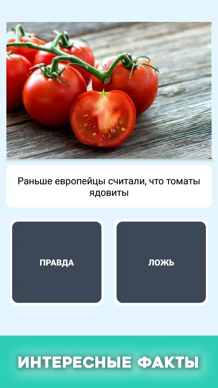 Правда или ложь - вопрос ответ Screenshot 4