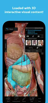 Human Anatomy Atlas 2024 Скриншот 1